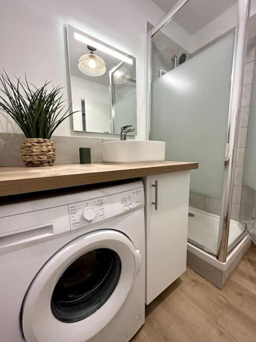 Le Vegetal / Nay Centre Apartment Nay (Pyrenees-Atlantiques)